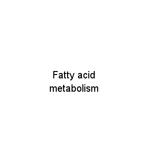 Fatty acid metabolism